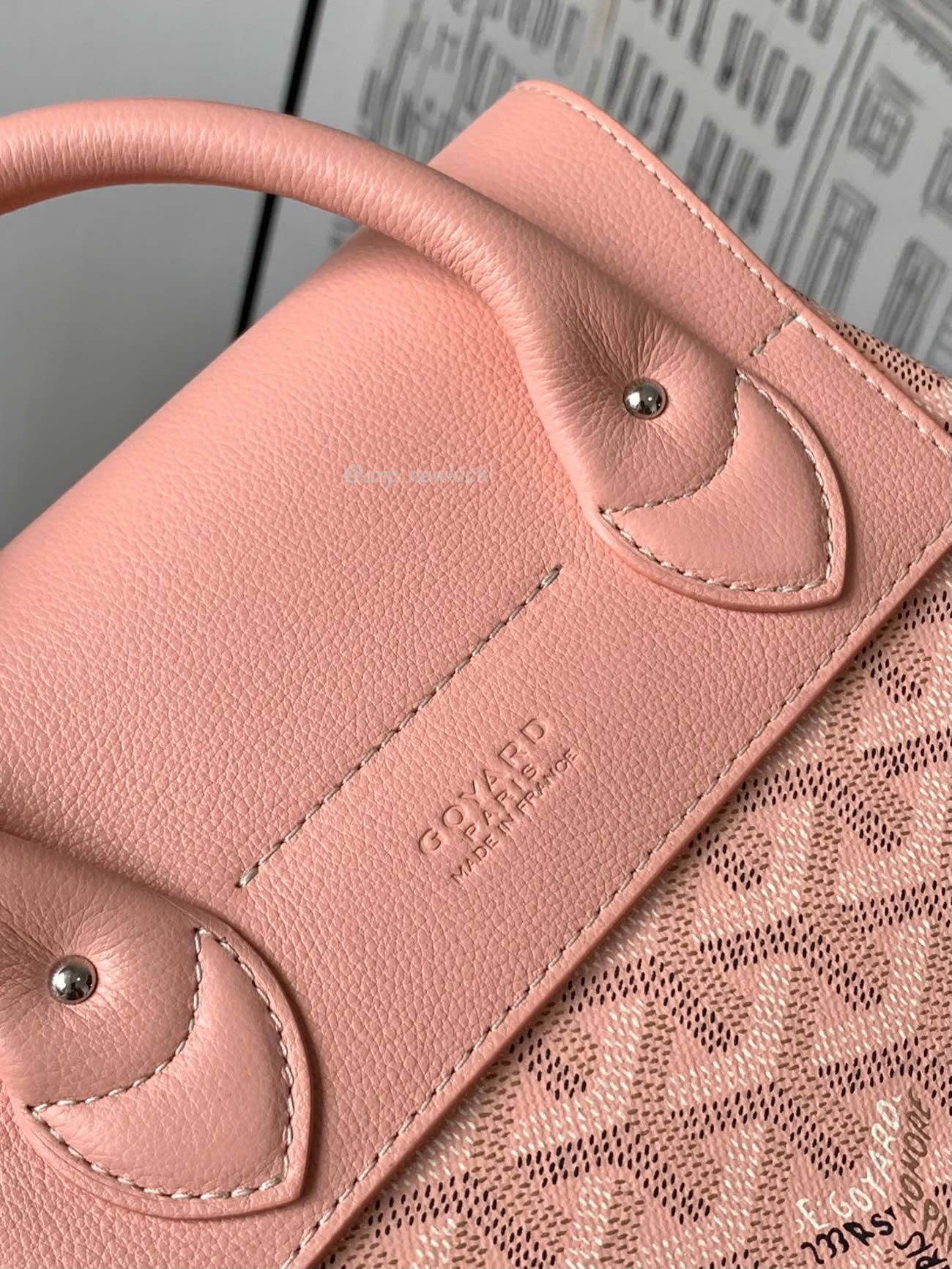 Goyard Alpin Mini Backpack 23 Cm X 9.5 Cm X 19 Cm (32) - www.newkick.vip